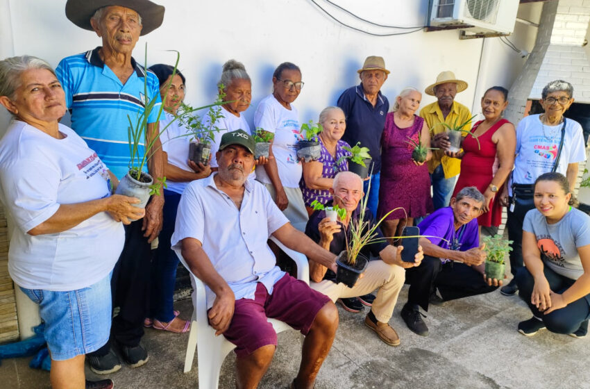  Resgate de Plantas Medicinais no CRAS 12 de Outubro: Um Encontro de Sabedoria e Tradição